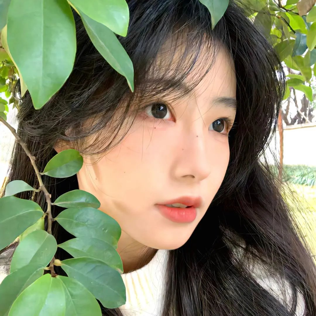 月陨回声